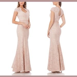 NWT‎ $338 JS Collections [ 14 ] Lace Mermaid Gown in Blush Pink